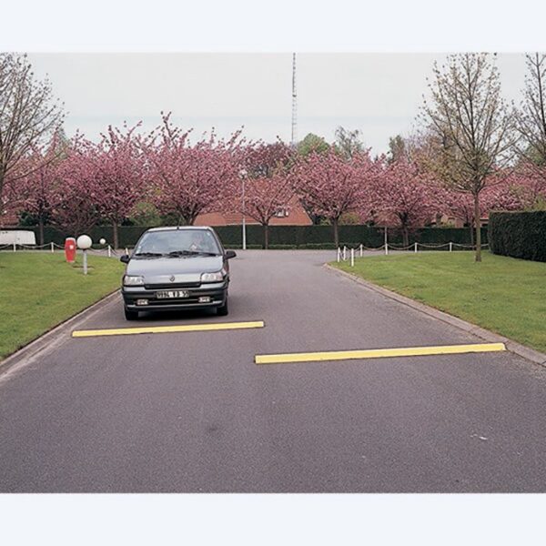 Ralentisseur Monobloc en Acier