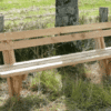 Banc Forestier