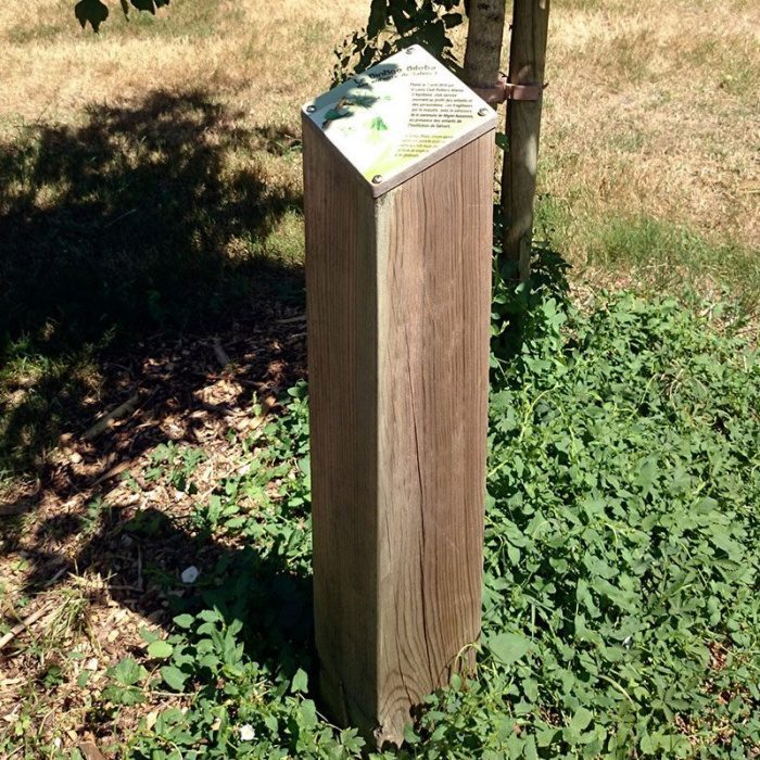 borne-interpretation-losange-photo Bornes d’interprétation