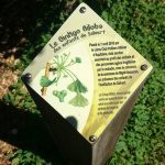 Bornes d’interprétation