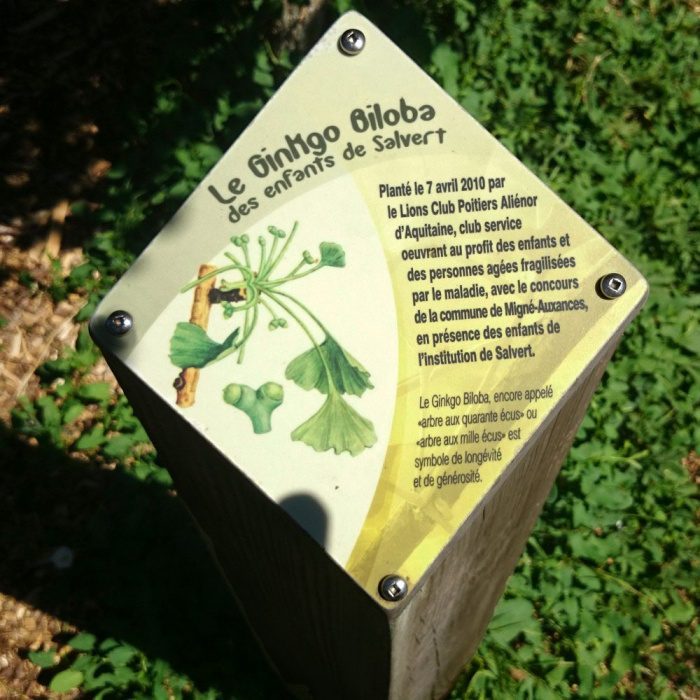 borne-interpretation-losange-photo2 Bornes d’interprétation