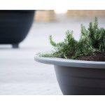 Jardinière Esferica by Bach y Mora