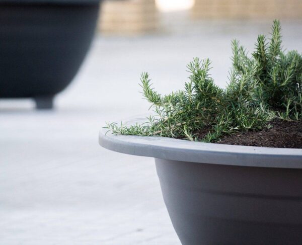 Jardinière Esferica 2 Jardinière Esferica by Bach y Mora