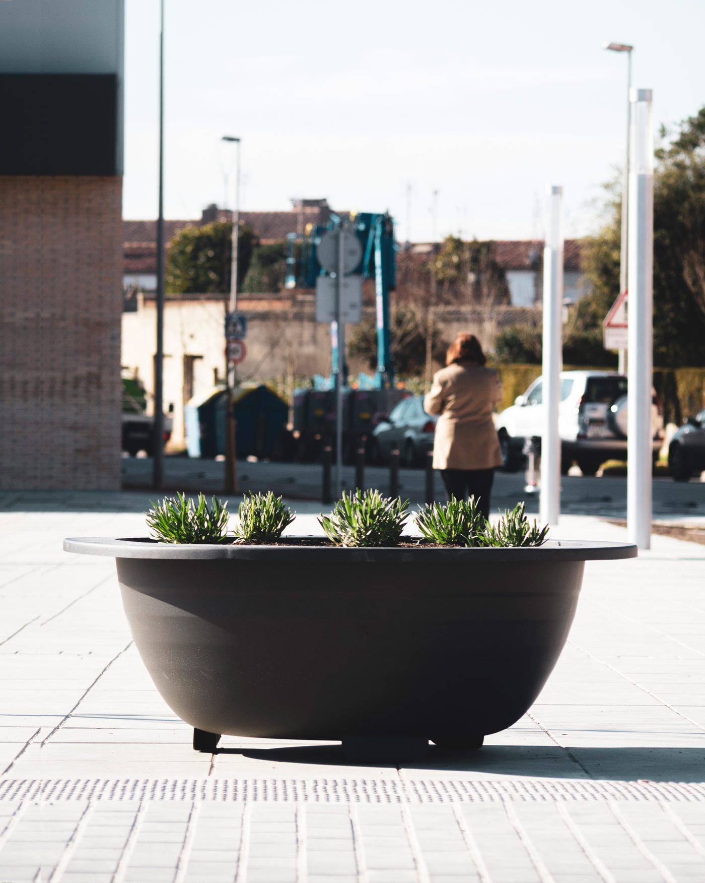 Jardinière Esferica by Bach y Mora