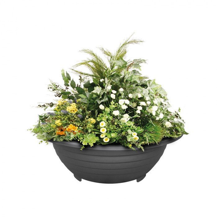 Jardinière Esferica by Bach y Mora