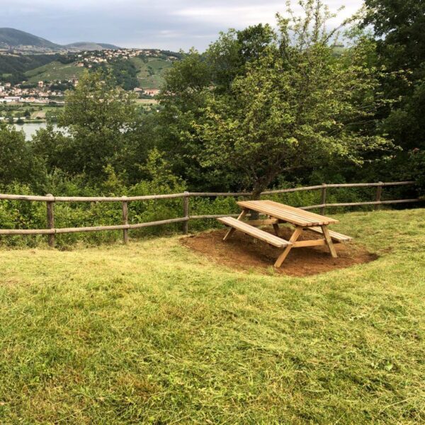 Table de pique-nique Modèle Forestière