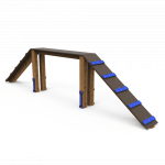 Aire d'agility canine