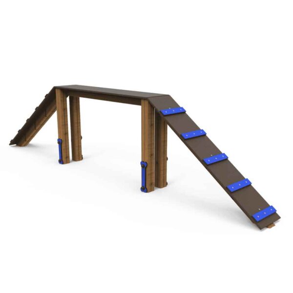 Aire d'agility canine