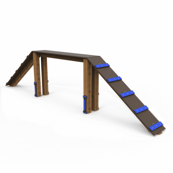 Aire d'agility canine