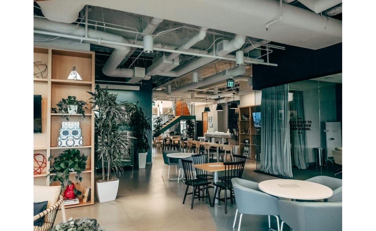 Spacious contemporary office lounge featuring stylish furniture and indoor greenery.